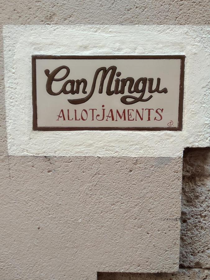 Apartament Can Mingu 2On Pis Besalú Extérieur photo